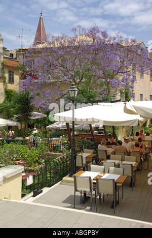 Altstadt von Korfu urlaub insel Jacaranda Baum mit Diners unter Sommer Sonnenschirm Schatten im Garten von einem griechischen Restaurant Taverna business Griechenland Stockfoto