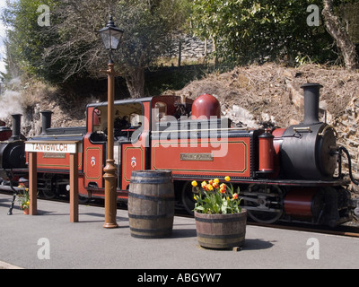 Rote Dampfmaschine 'Dafydd Lloyd George' in der Tan-y-Bwlch Station auf der historischen Schmalspurbahn Ffestiniog Railway in Snowdonia. Gwynedd North Wales UK Stockfoto