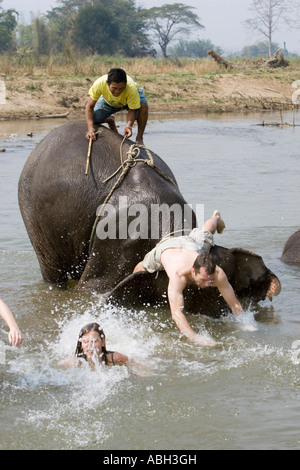 Elefanten planschen und spielen, werfen Sie junge Touristen im Fluss auf Wanderung in der Nähe von Pai Nord Thailand Stockfoto