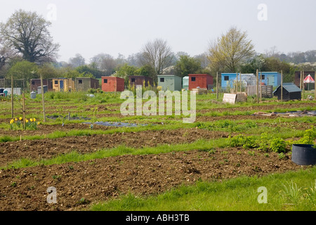 lange Reihe von bunten Schuppen an der Schrebergärten in Walsham-Le-Willows in Suffolk, UK Stockfoto