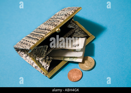 Kunstleder Schlange Haut Konzertina Geldbörse und cash Stockfoto