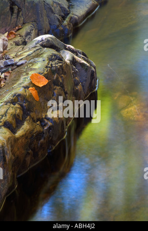 Herbst Blatt Reflexionen im Fluss in der Nähe Dundonnell Wester Ross Schottland UK GB EU Nordeuropa Stockfoto