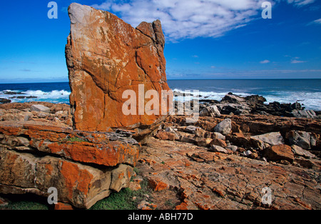 Robberg Nature Reserve Plettenberg Bay-Südafrika Stockfoto
