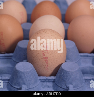 Hühnereier in einem Karton Tablett klar hervorgeht, am besten vor ex-Supermarkt Stockfoto