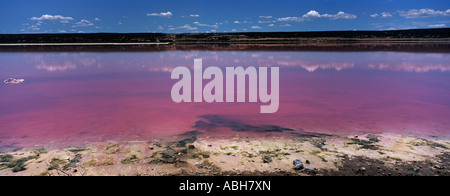 Hutt-Lagune am Port Gregory in der Nähe von Kalbarri genannt auch Pink Lake Western Australien Panorama Stockfoto