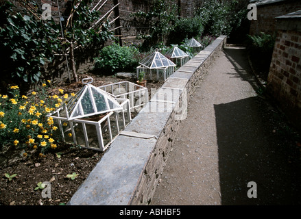 Frühbeete in Folge in den Lost Gardens of Heligan in Cornwall England Stockfoto