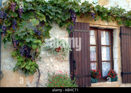 Die ummauerte Stadt der Bastide de Monpazier in die Dordogne Region Frankreich Reben rund um Fenster und Fensterläden Stockfoto