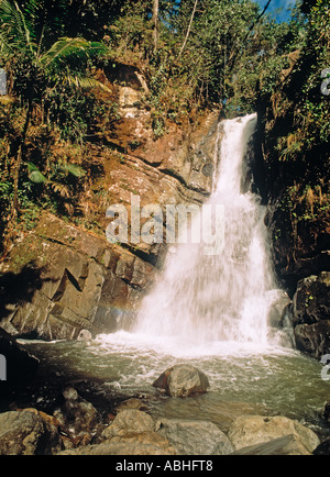 La Mina Wasserfall in El Yunque Nationalpark Puerto Rico Stockfoto