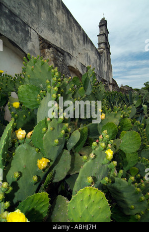 Spanische mission Kirche Mission San Juan Capistrano Stockfoto