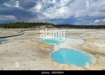 Schwimmbäder in Porzellan-Becken Norris Geyser Basin Yellowstone National Park Wyoming USA Vereinigte Staaten von Amerika Stockfoto