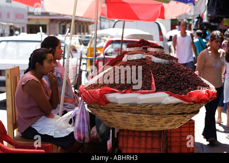 Frauen verkaufen Heuschrecken in Chilis Chapulines Oaxaca City Mexiko gebraten Stockfoto