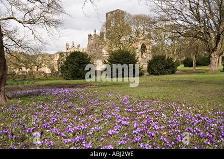 Kirkstall Abbey in Leeds Yorkshire UK Stockfoto