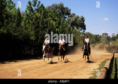 Argentinien. Gauchos in einer Darstellung der Reiten Fähigkeiten; Estancia Argentino, in der Nähe von Buenos Aires. Stockfoto