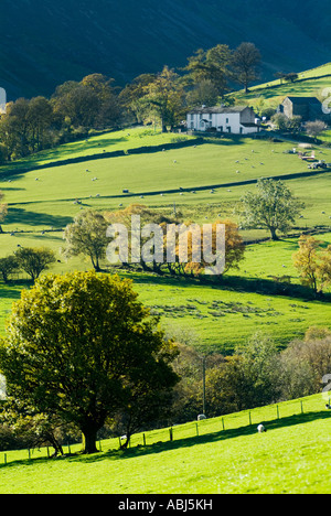 Ein englischen Lake District Bauernhof thront auf einem Hügel im Frühherbst im schönen Sonnenlicht mit Bäumen und dunklen Hügeln erschossen Stockfoto