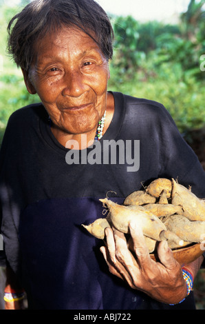 Koatinemo Dorf, Brasilien. Ältere Assurini Indianerin Holding Süßkartoffeln lächelnd. Para-Zustand. Stockfoto