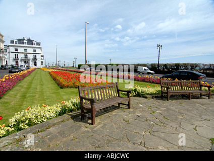 Frühling Sommerblumen im Garten am Marine Parade Worthing Stockfoto