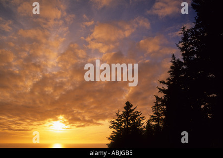 Sonnenuntergang über dem Pazifik am Cape Lookout State Park-Oregon-USA Stockfoto