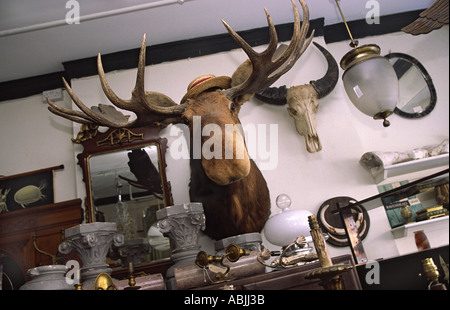 Les Couilles Du Chien Golborne Road London England UK Stockfoto