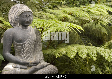 Steinstatue des Buddha, der in Bodhgaya unter dem Bodhi-Baum meditiert, um Erleuchtung zu erlangen. Stockfoto