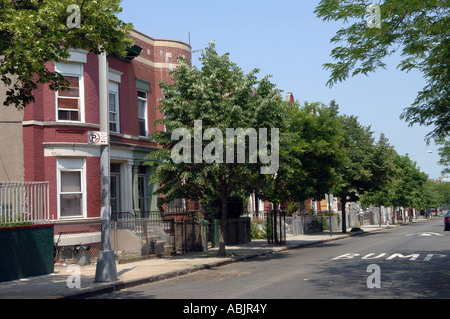 Von Bäumen gesäumten Straße in Hunt s Punkt in der Bronx in New York City Stockfoto