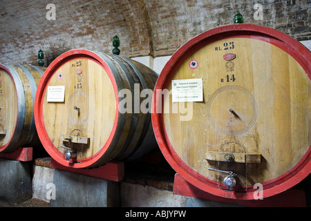 Französische Eiche Barrique oder Schatzen, die früher Chainti reifen. Weinfässer in der Toskana Italien. Italienische Eiche, Keller, Weingut, Fass, Weinberg, Fasscontainer. Stockfoto