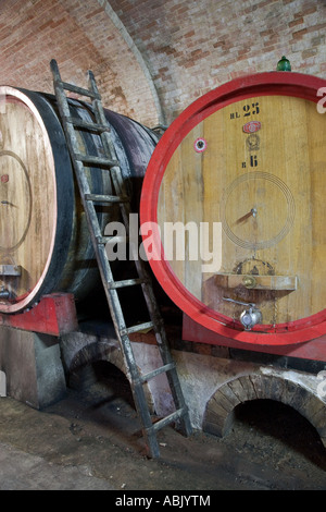 Französische Eiche Barrique oder Schatzen, die früher Chainti reifen. Weinfässer in der Toskana Italien. Italienische Eiche, Keller, Weingut, Fass, Weinberg, Fasscontainer. Stockfoto