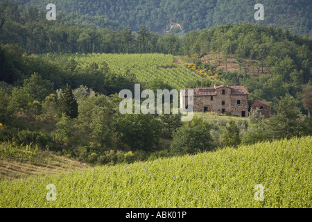 Italienische Landschaft mit Zypressen, eine Kulturlandschaft. Toskana Bauernhof und Weinberg, Poggibonisi, Provinz Siena, Italien, Europa, EU Stockfoto