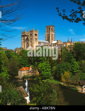 Sommer auf Durham Kathedrale und Flusses Wear, Durham City. Stockfoto