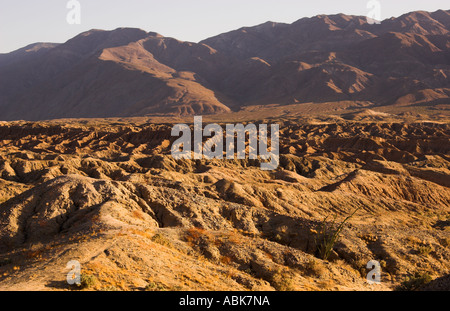 Borrego Becken mit Santa Rosa Berge im Hintergrund, Anza-Borrego Desert State Park, Kalifornien, USA Stockfoto