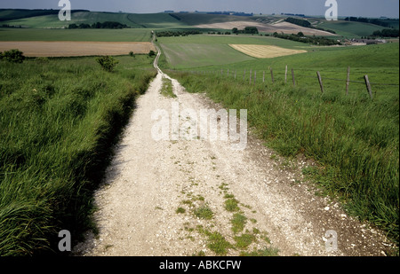 öffentliche Maultierweg in Lambourn downs Berkshire uk Stockfoto