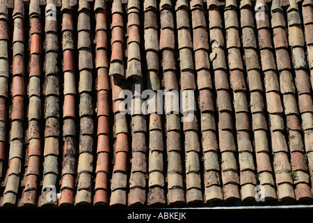 Terrakottadächer in Drovnic, Kroatien Stockfoto