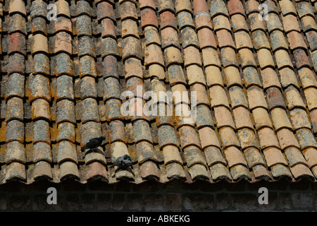 Terrakotta-Dach in Drovnic, Kroatien Stockfoto