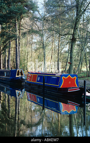 Farbigen schmale Boote vertäut am Basingstoke Canal spiegelt sich in ruhigem Wasser. Mytchett Surrey England UK Stockfoto