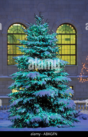 DEKORIERTE EVERGREEN IN REIS PARK, DOWNTOWN ST. PAUL, MINNESOTA, VEREINIGTE STAATEN VON AMERIKA  DEZEMBER. Stockfoto