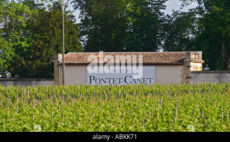 Melden Sie bei Chateau Pontet Canet und Weinberg Pauillac Medoc Bordeaux Gironde Aquitaine Frankreich Stockfoto