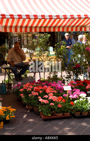 Blumen zum Verkauf an den Straßenmarkt Cours Saleya in Nizza Südfrankreich Stockfoto