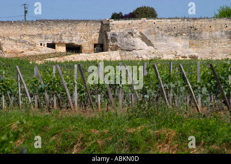 Die Weinberg und Eintritt in den Weinkeller in einem alten Steinbruch von Château Ausone Saint Emilion Bordeaux Gironde Aquitaine Frankreich Stockfoto