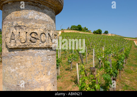 Ein Stein Tor Säule mit Ausone im Weinberg von Château Ausone Saint Emilion Bordeaux Gironde Aquitaine Frankreich geschnitzt Stockfoto