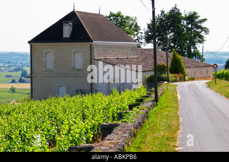 Chateau Pavie Decesse an einem Privatweg Saint Emilion Bordeaux Gironde Aquitaine Frankreich Stockfoto