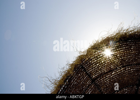 Schatten Palapa Strand und Sonnenschein gegen blauen Himmel Stockfoto