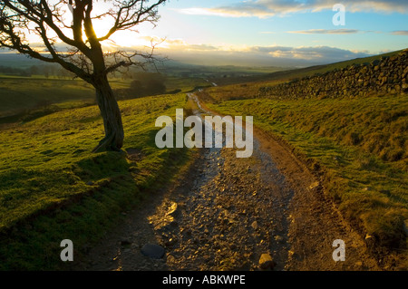 Mit Blick auf das Vale of Eden aus einem Feldweg über Dufton in der nördlichen Pennines, in der Nähe von Penrith, Cumbria, England, UK Stockfoto