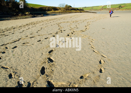 Grundrisse und eine Person an der Mündung des Hafen von Clonakilty, Inchydoney Island, County Cork, Irland Stockfoto