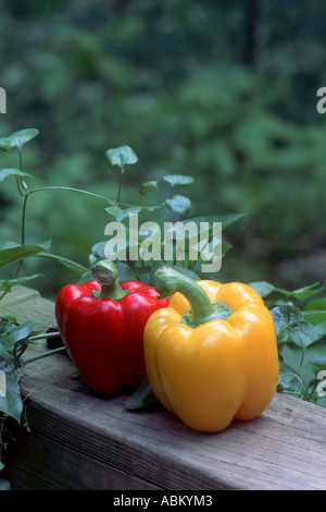 Paar süße Paprika auf Geländer Stockfoto