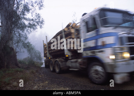 Ein Protokollierung LKW beladen mit Holz entsteht aus einem Nebel gehüllt-Wald in der Dämmerung Stockfoto