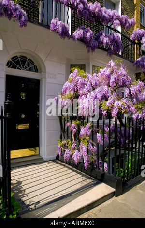 ^ Wisteria bewachsenen 'Des Res' 9 In einer ruhigen Ecke des "Marylebone"]. London "W1" Stockfoto