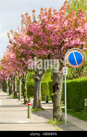 Meine Nachbarschaft Stockfoto