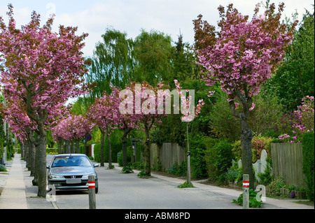 Meine Nachbarschaft Stockfoto