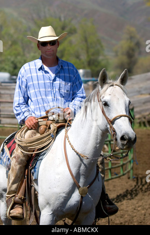 Cowboy zu Pferd, während ein Almabtrieb in der Nähe von Emmett Idaho Stockfoto