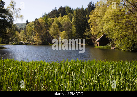 Loch Dunmore im Pitlorchy Wald in der Nähe von Pitlochry Perthshire Stockfoto