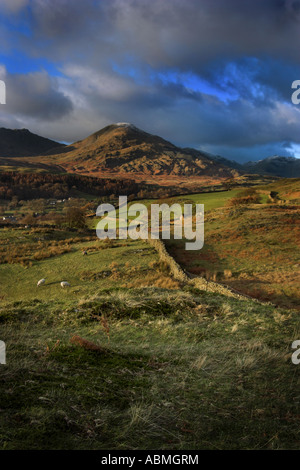 vertikale Portraitfoto von Coniston Old Man Mountain im englischen Lake District bei Sonnenuntergang gesehen von Torver gemeinsamen Stockfoto